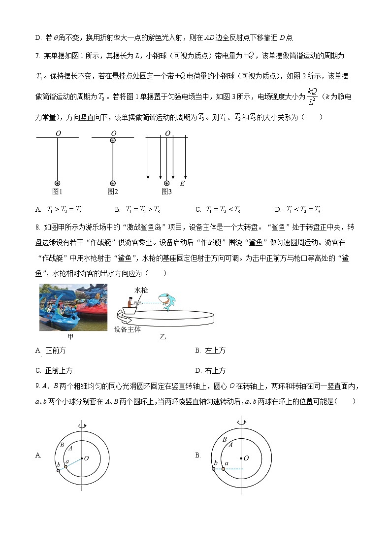 江苏省苏州市苏大附中2024-2025学年高三下学期3月月考物理试题（原卷版+解析版）第3页