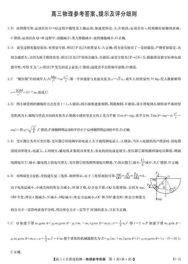 四川省九师联盟2025届高三仿真模拟卷物理答案（DG）第1页