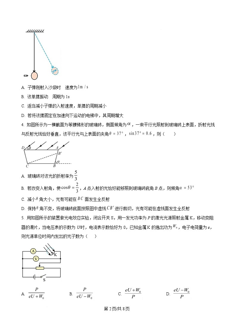 2025届安徽师范大学附属中学高三下学期4月质量检测物理试题（原卷版）第2页