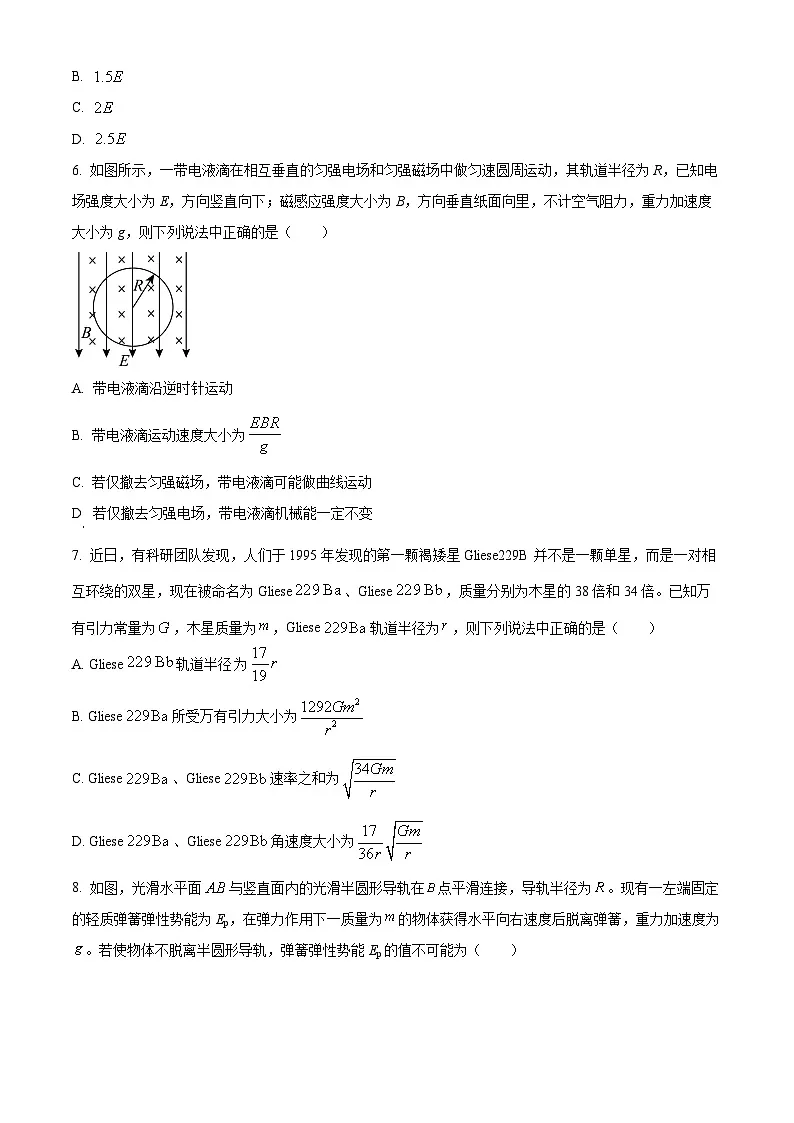 2025届安徽省池州市普通高中高三下学期教学质量统一监测物理试卷 Word版无答案第3页