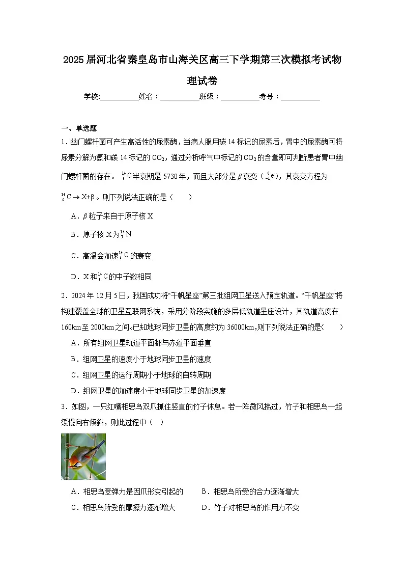 2025届河北省秦皇岛市山海关区高三下学期第三次模拟考试物理试卷（附答案解析）第1页