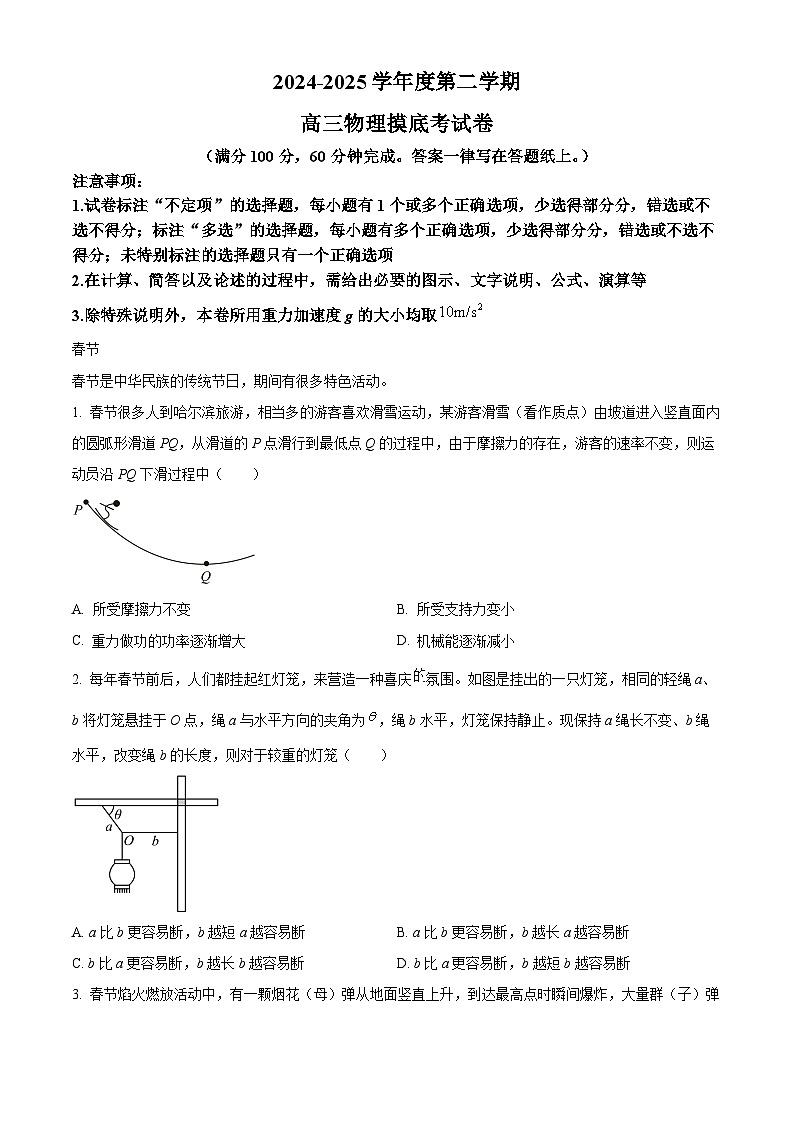 上海市交通大学附属中学2024-2025学年高三下学期开学摸底考试物理试题（原卷版+解析版）第1页