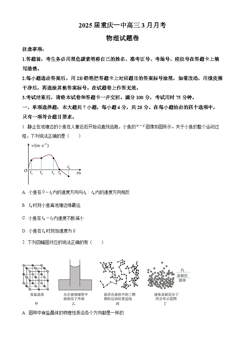 重庆市第一中学校2024-2025学年高三下学期3月月考物理试题（原卷版+解析版）第1页