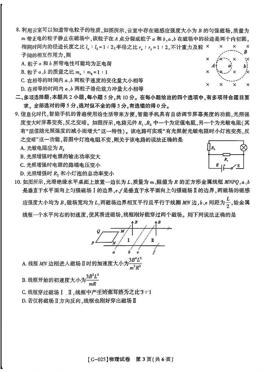 皖江名校联盟2025届高三最后一卷 物理试题（含答案）第3页