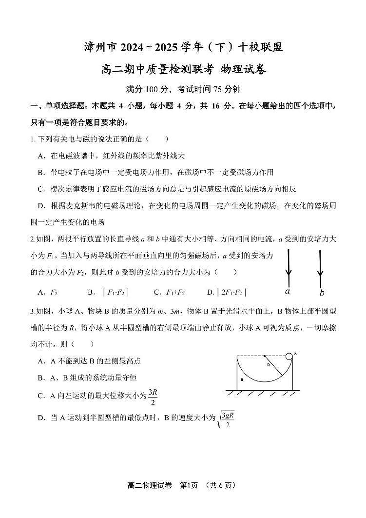 福建省漳州市十校联盟2024-2025学年高二下学期期中考试物理试卷（PDF版附答案）第1页