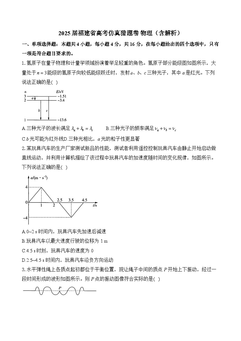 2025届福建省高考仿真猜题卷 物理（含解析）第1页