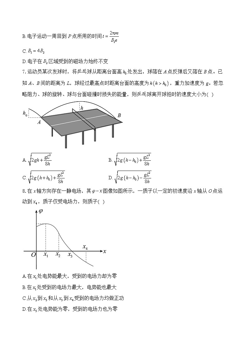 2025届湖北省高考仿真猜题卷 物理（含解析）第3页