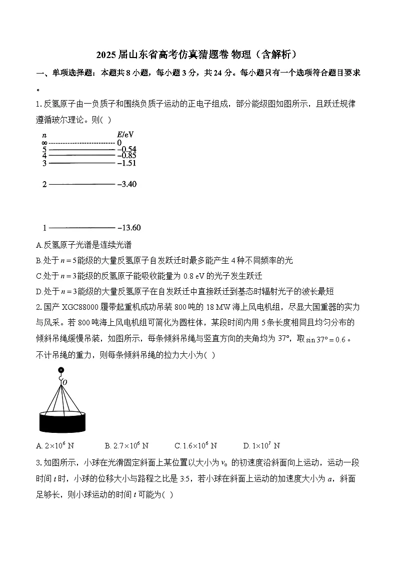 2025届山东省高考仿真猜题卷 物理（含解析）第1页