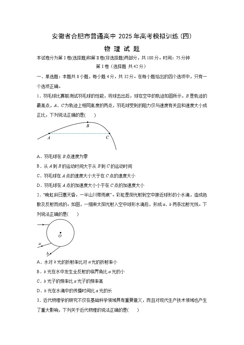 2025届安徽省普通高中高三下学期高考模拟训练(四)物理试题（解析版）第1页