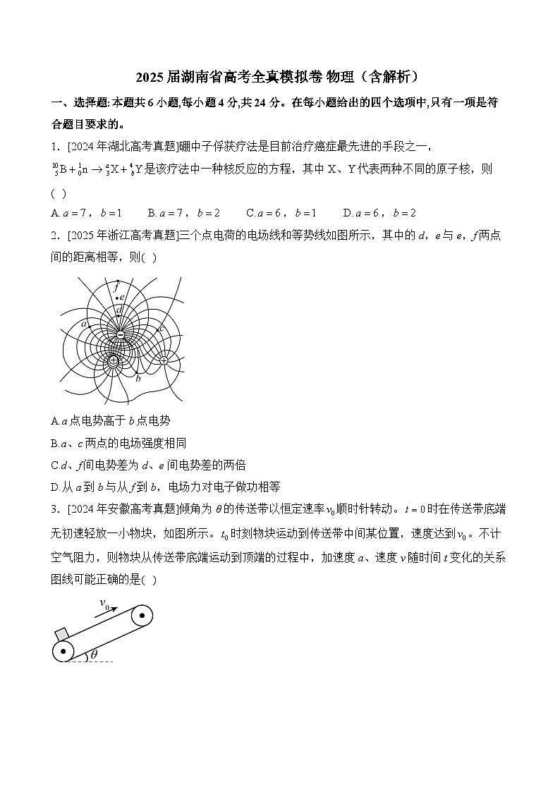 2025届湖南省高考全真模拟卷 物理（含解析）第1页