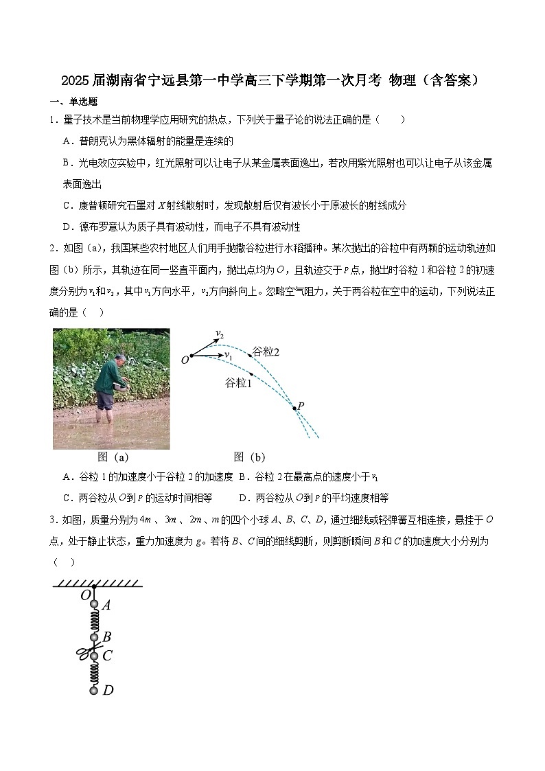 2025届湖南省宁远县第一中学高三下学期第一次月考 物理（含答案）第1页