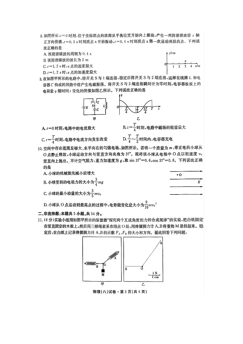 2025届云南省名校联盟高三上学期月考（八）（图片版）物理试题第3页