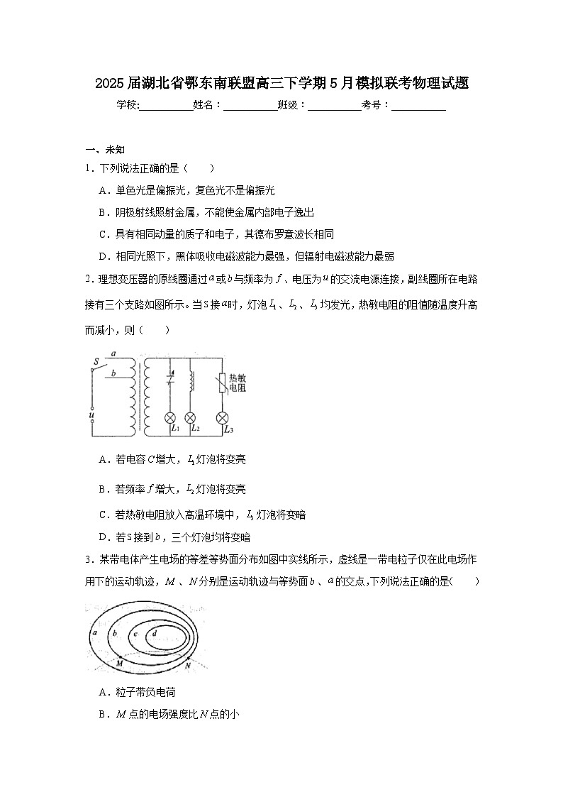2025届湖北省鄂东南联盟高三下学期5月模拟联考物理试题（无答案）第1页