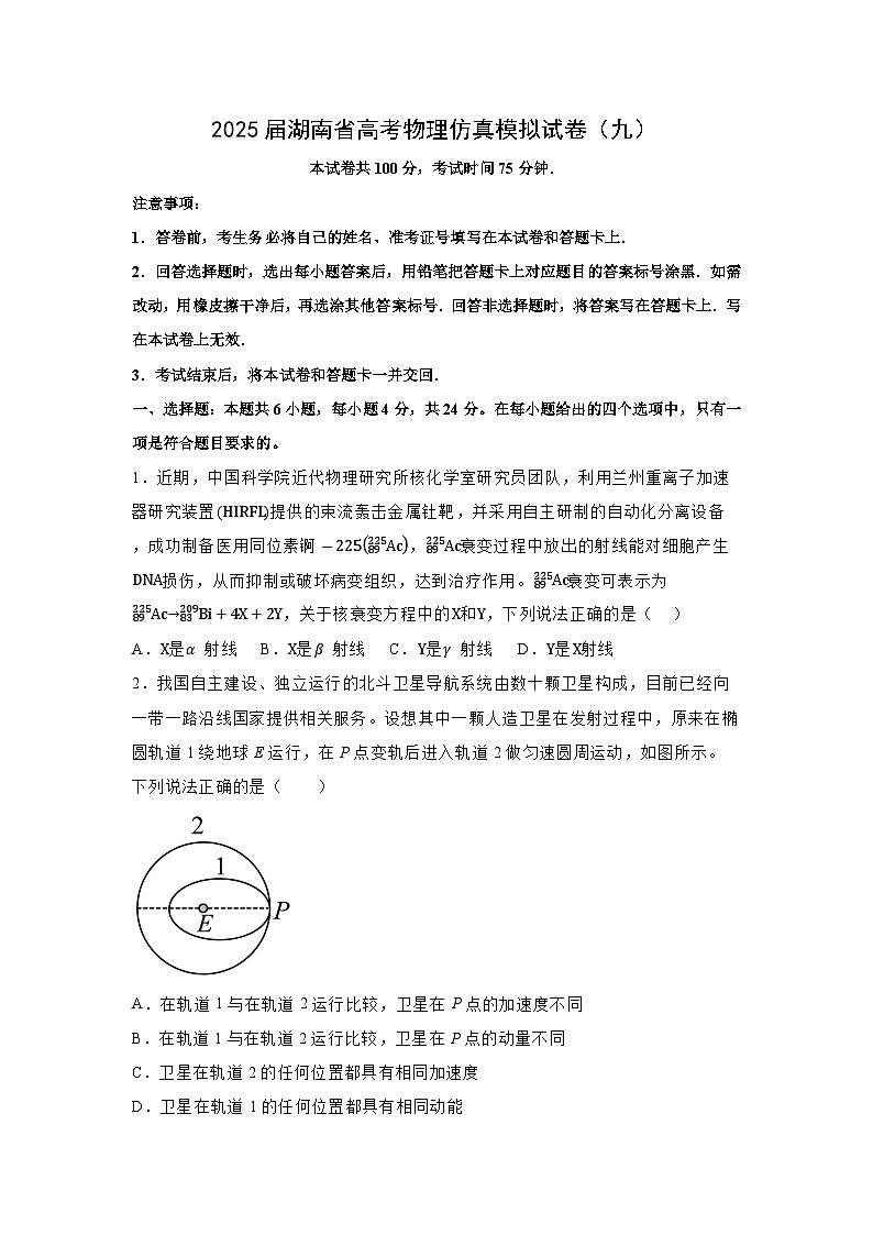 2025届湖南省高考仿真模拟（九）物理试卷（解析版）第1页