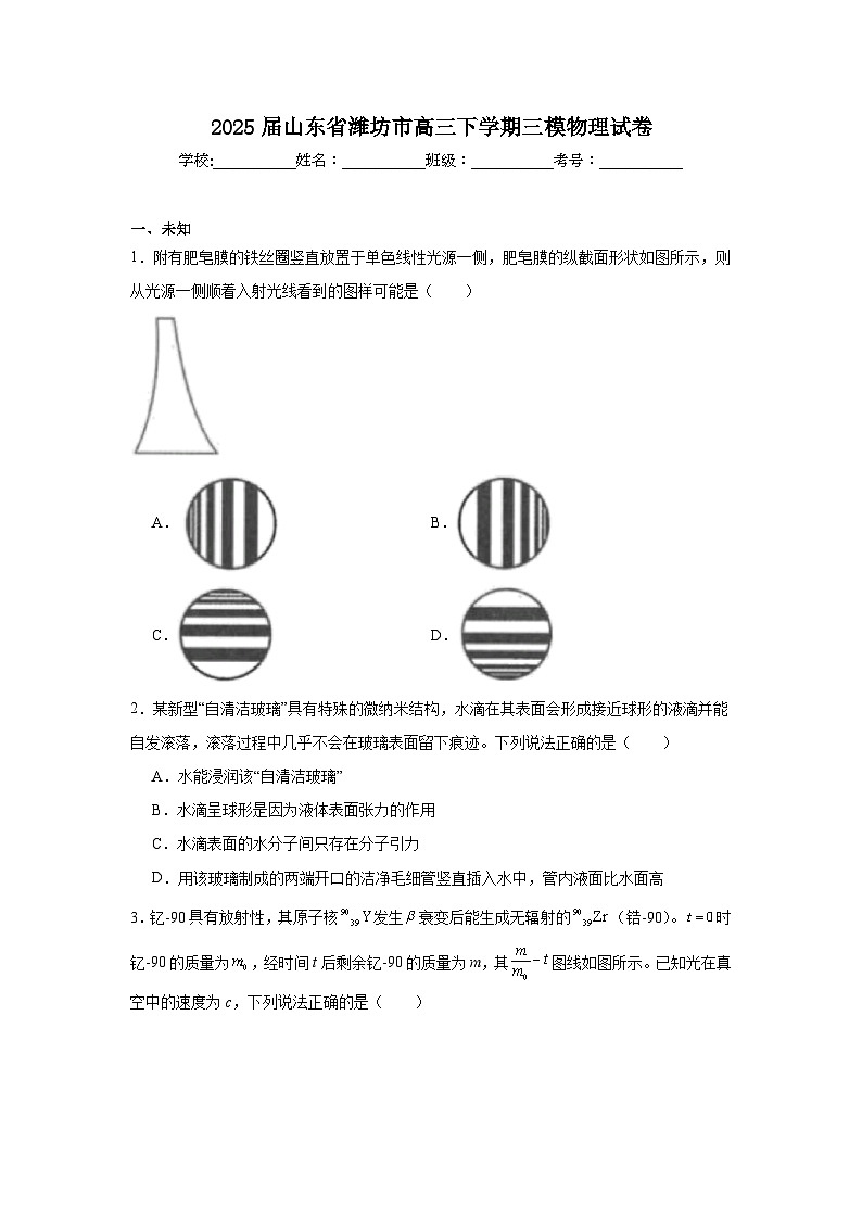 2025届山东省潍坊市高三下学期三模物理试卷（无答案）第1页