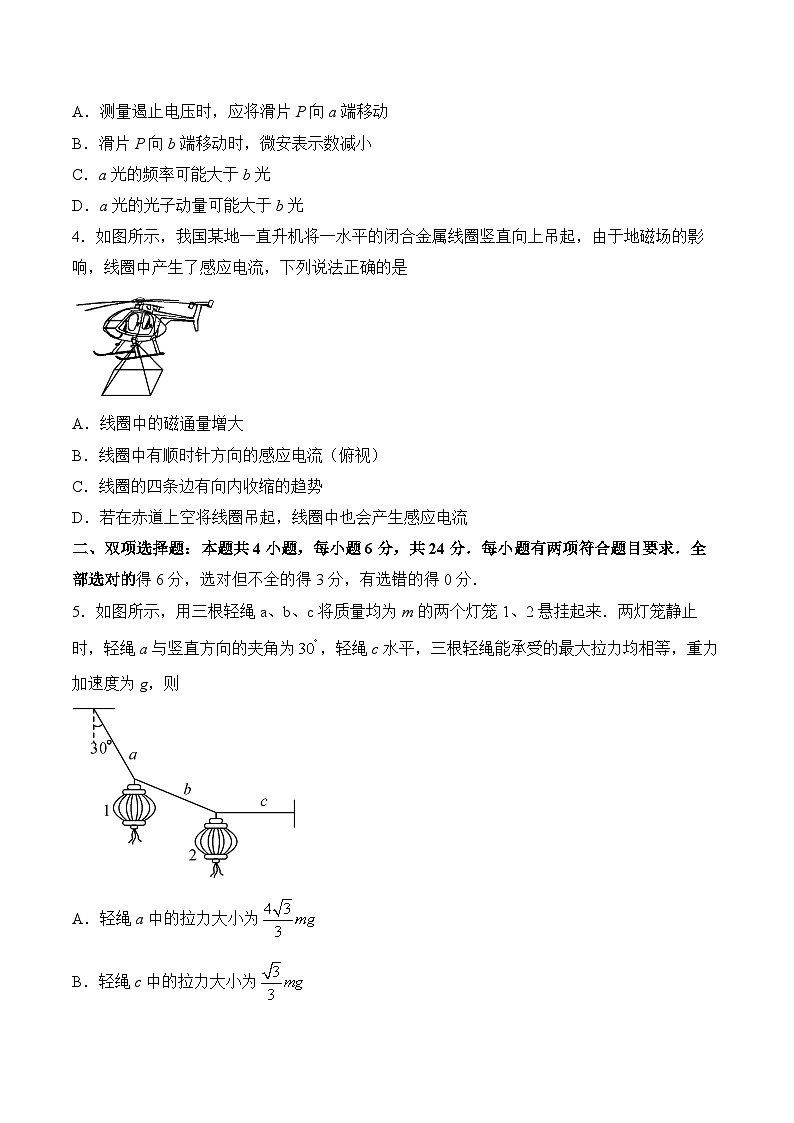 2025届福建省百校联考高三下学期测评试卷 物理（含解析）第2页