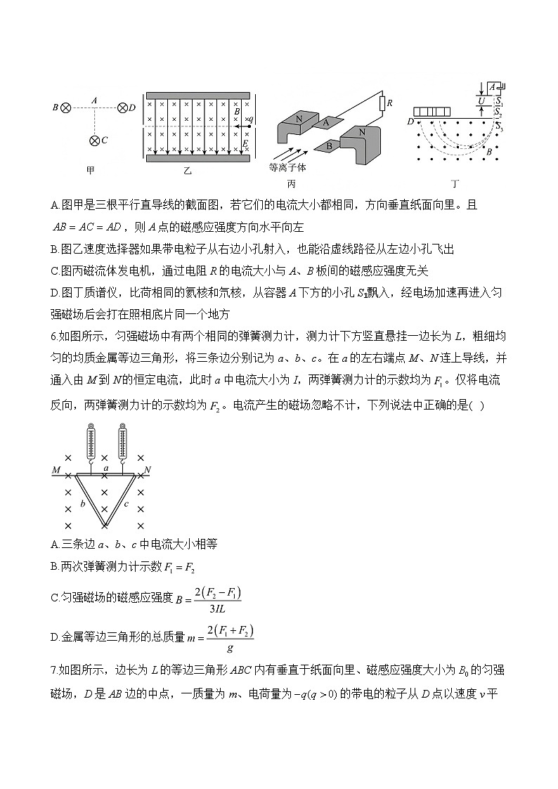 2024-2025学年物理教科版（2019）选择性必修第二册单元复习提升卷 第一单元  磁场对电流的作用（含解析）第3页
