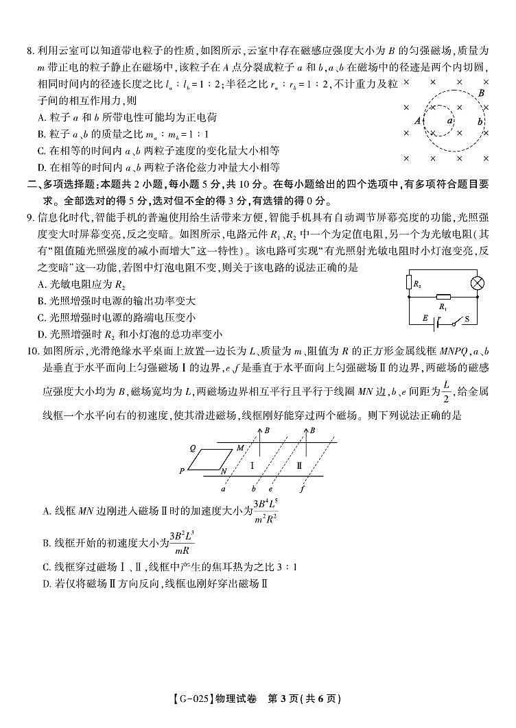 物理试题·2025年高三最后一卷第3页