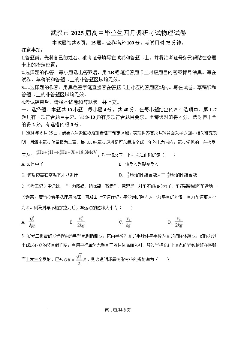 2025届湖北省武汉市高三下学期四月调研考试物理试题（原卷版）第1页