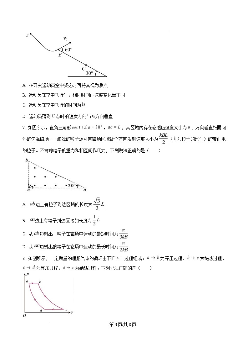 2025届湖北省武汉市高三下学期四月调研考试物理试题（原卷版）第3页