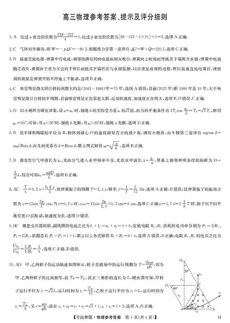 2025届江西九师联盟高三下学期5月检测模拟预测物理答案第1页