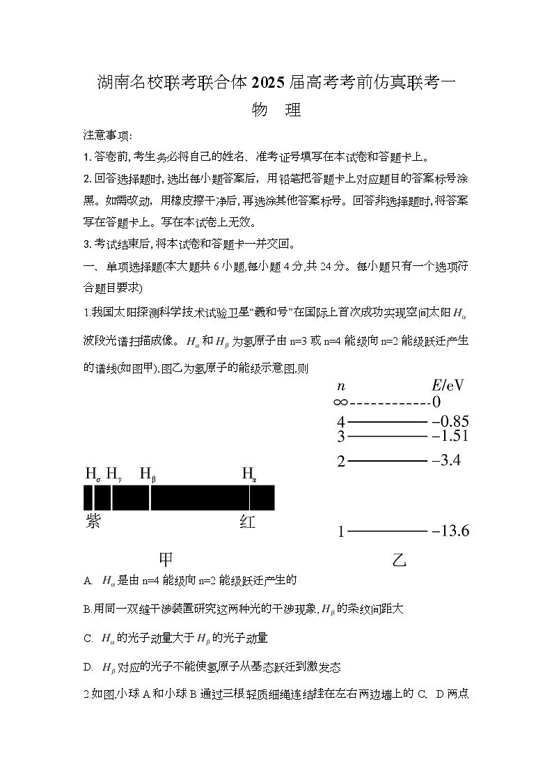 湖南省名校联考联合体2025届高考考前仿真联考（一）物理试卷第1页