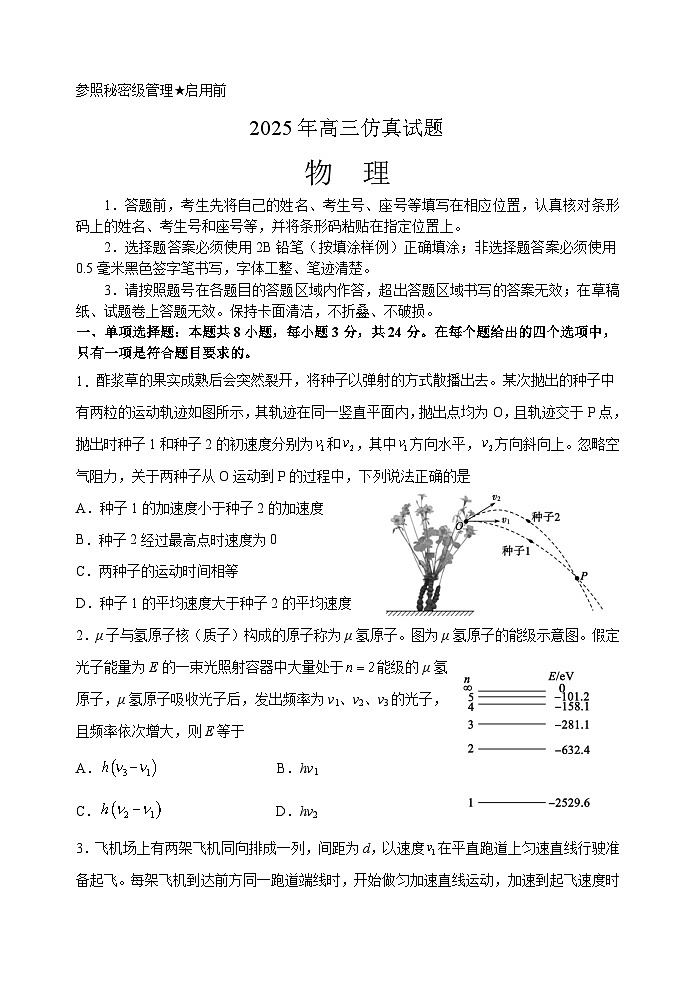 2025届山东省淄博市高三下学期仿真模拟（三模）物理试题第1页