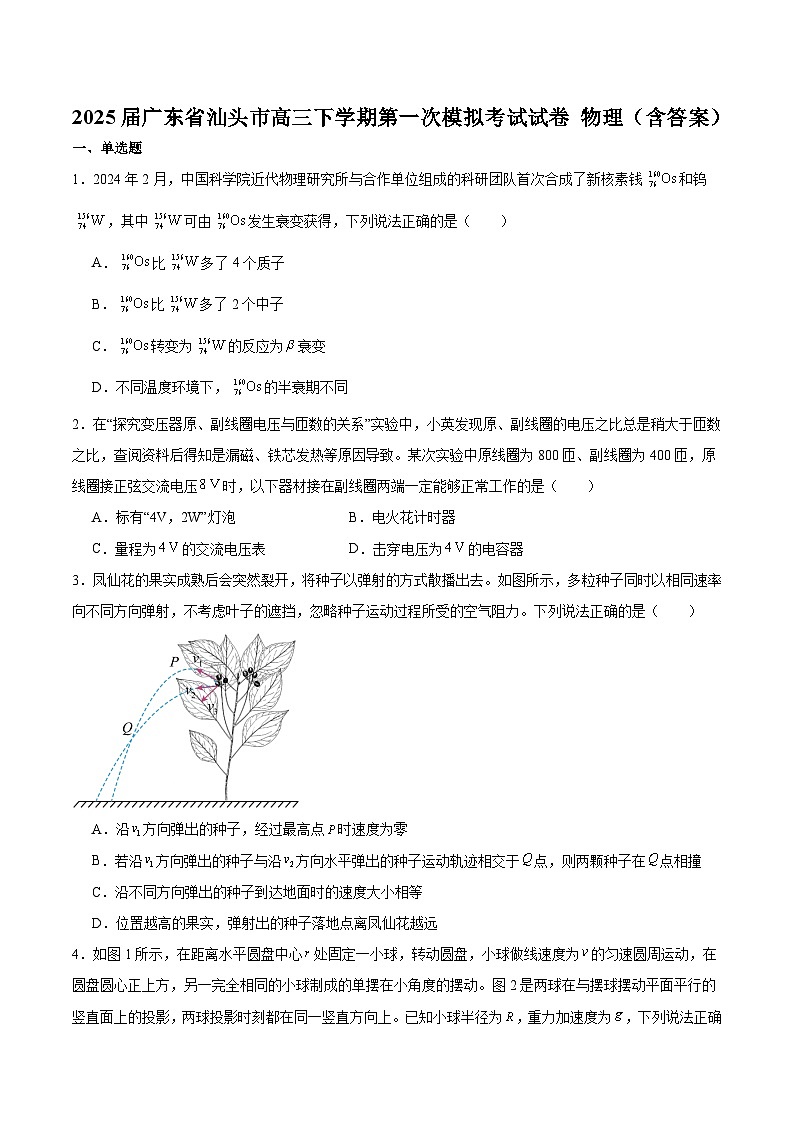 2025届广东省汕头市高三下学期第一次模拟考试试卷 物理（含答案）第1页