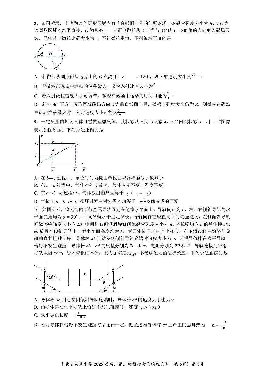 湖北省黄冈中学2025届高三第三次模拟考试物理第3页