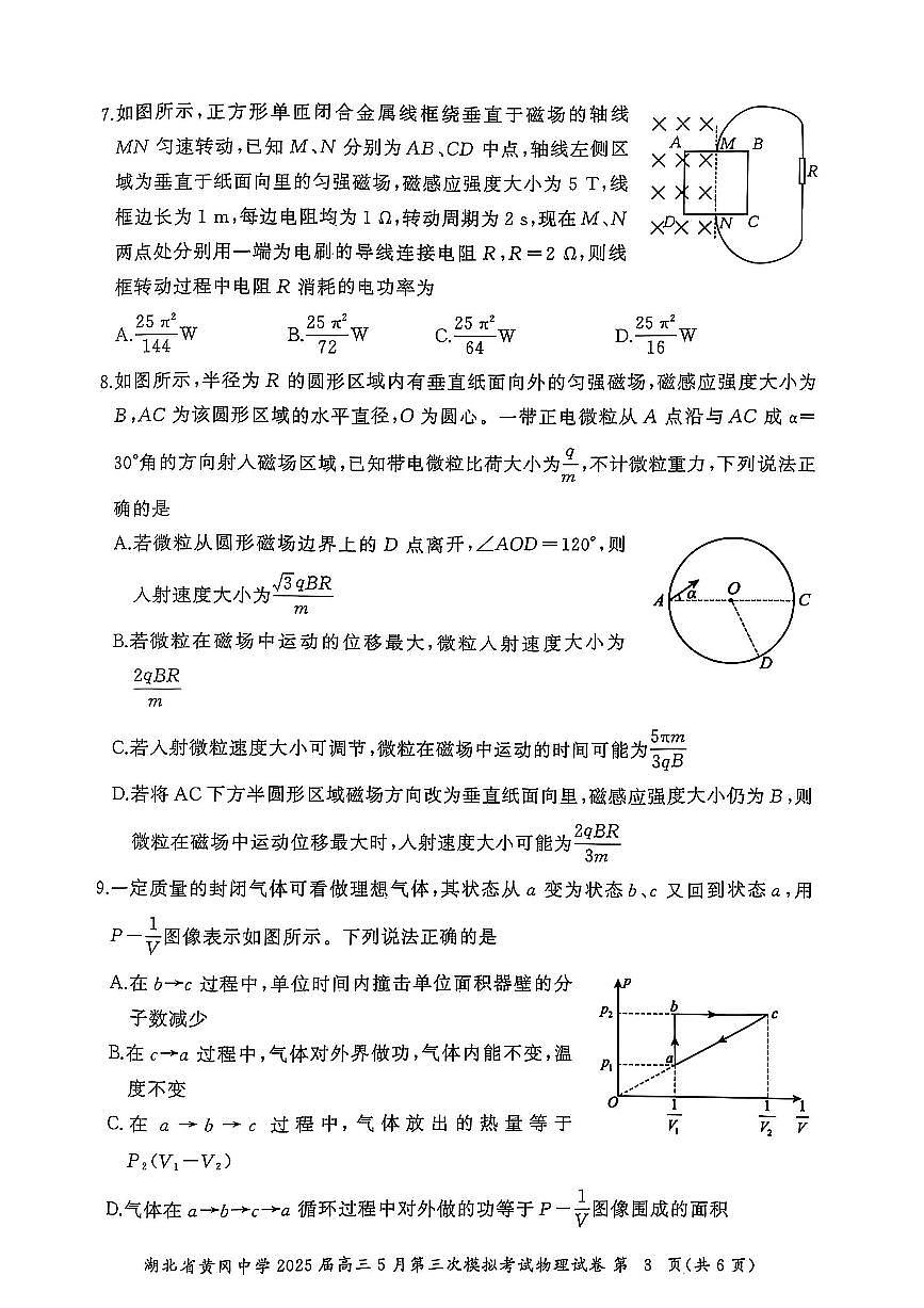 2025届湖北部分学校联考高三下学期三模物理试题（含答案）第3页