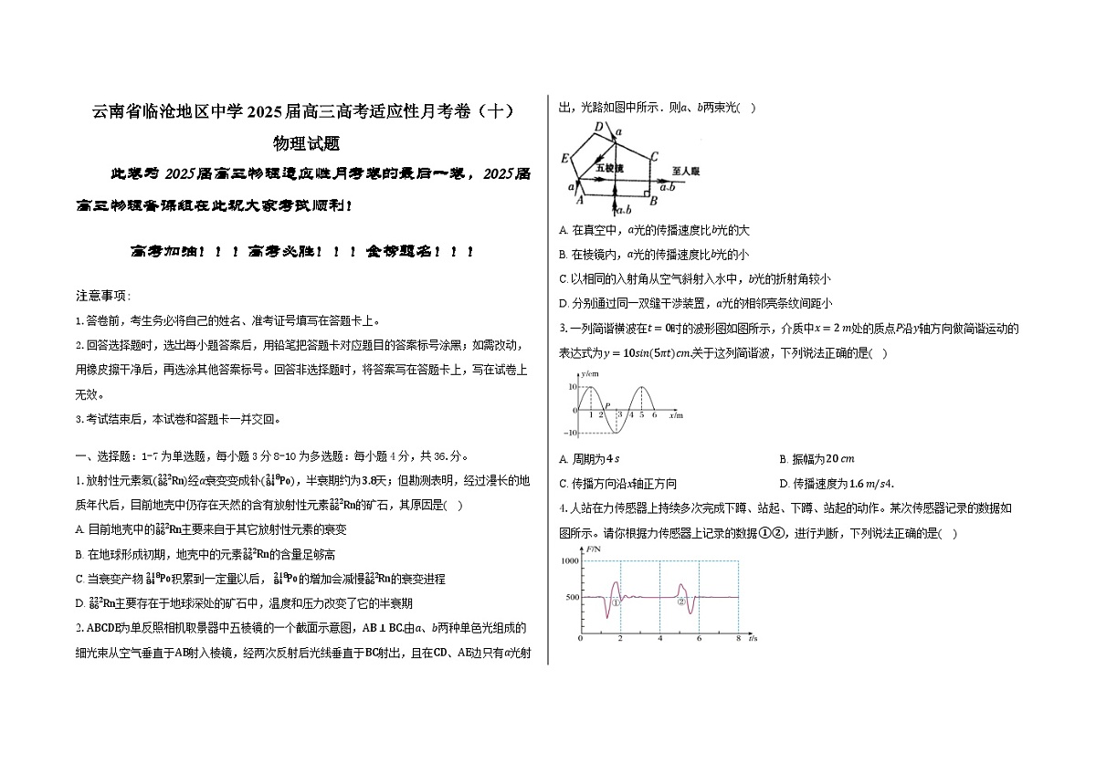 云南省临沧地区中学2024-2025学年高三下学期高考适应性月考卷（十）物理试题（高考模拟）第1页