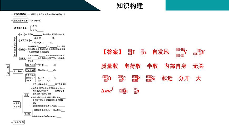 2026届高考物理一轮复习课件 第十六章  第3讲 原子核第3页