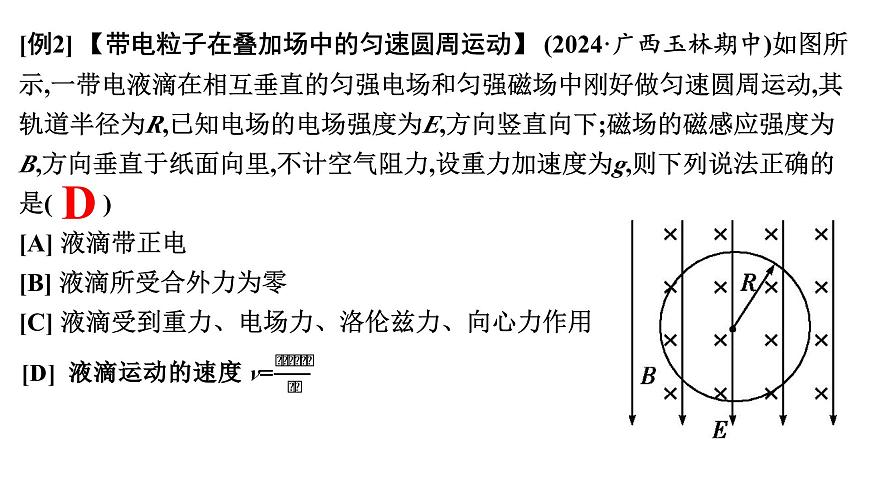 2026届高考物理一轮复习课件 第十一章  第8讲 小专题 带电粒子在叠加场中的运动第8页