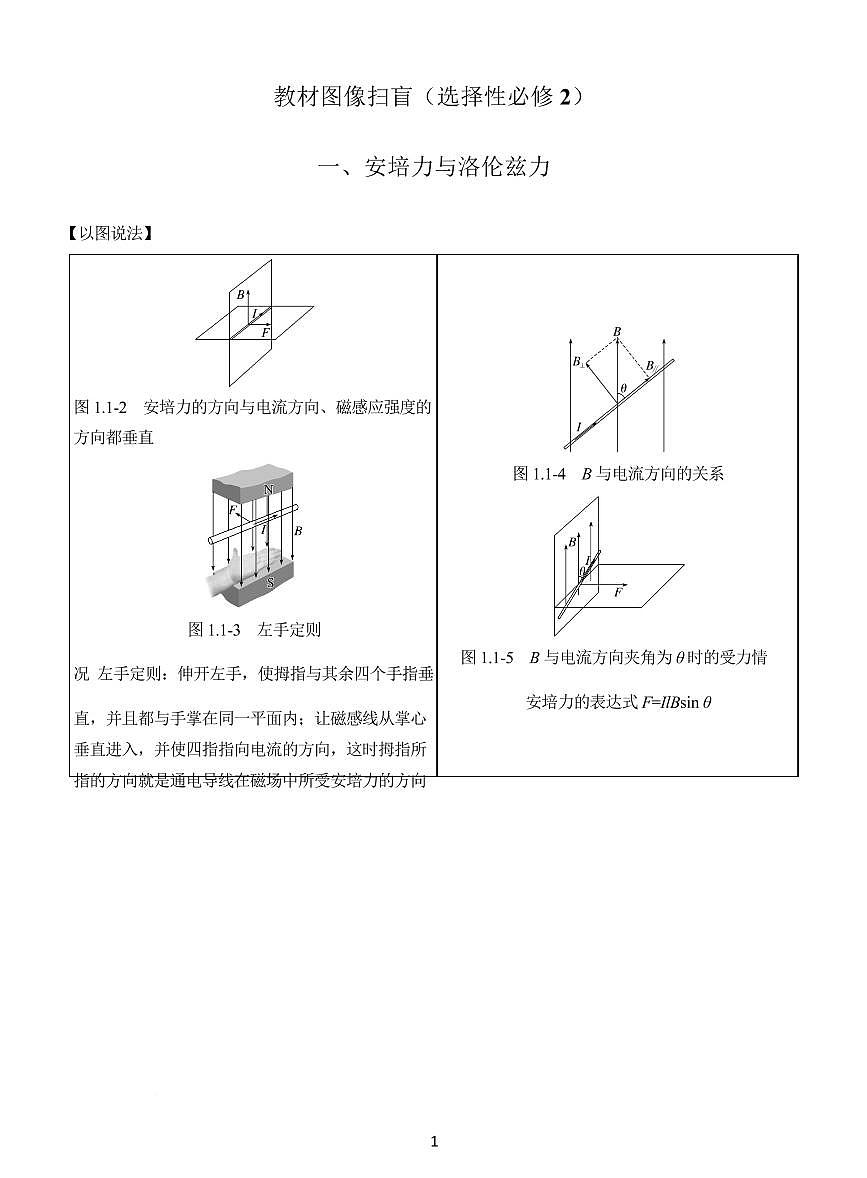 2025届高考物理考前教材图像扫盲（选择性必修2）学案-高考物理专题第1页