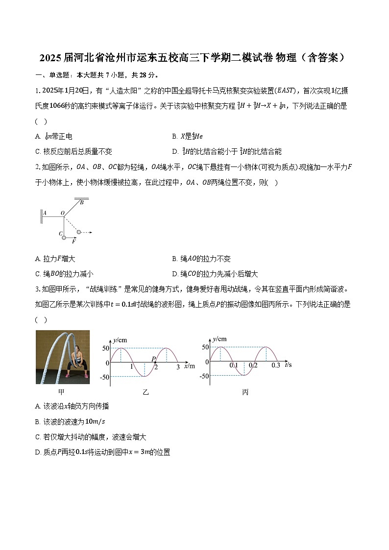 2025届河北省沧州市运东五校高三下学期二模试卷 物理（含答案）第1页