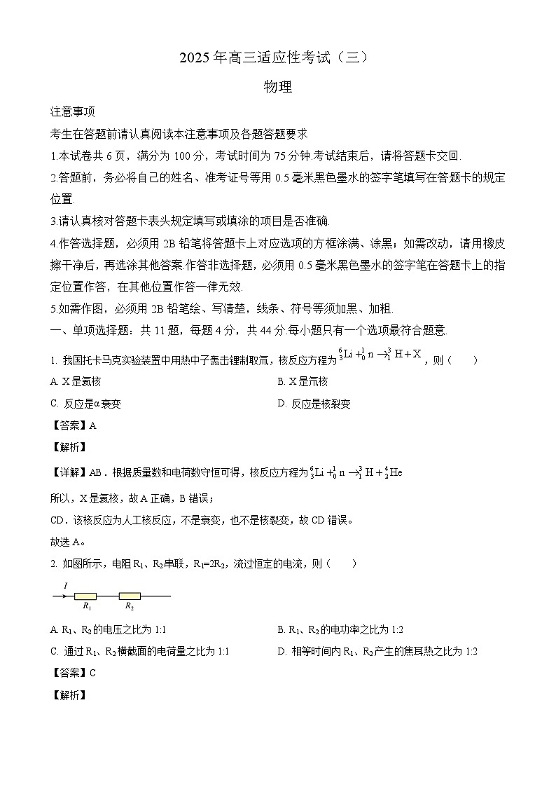 2025届江苏省南通市如皋市高三下学期适应性考试（三）物理试卷（解析版）第1页