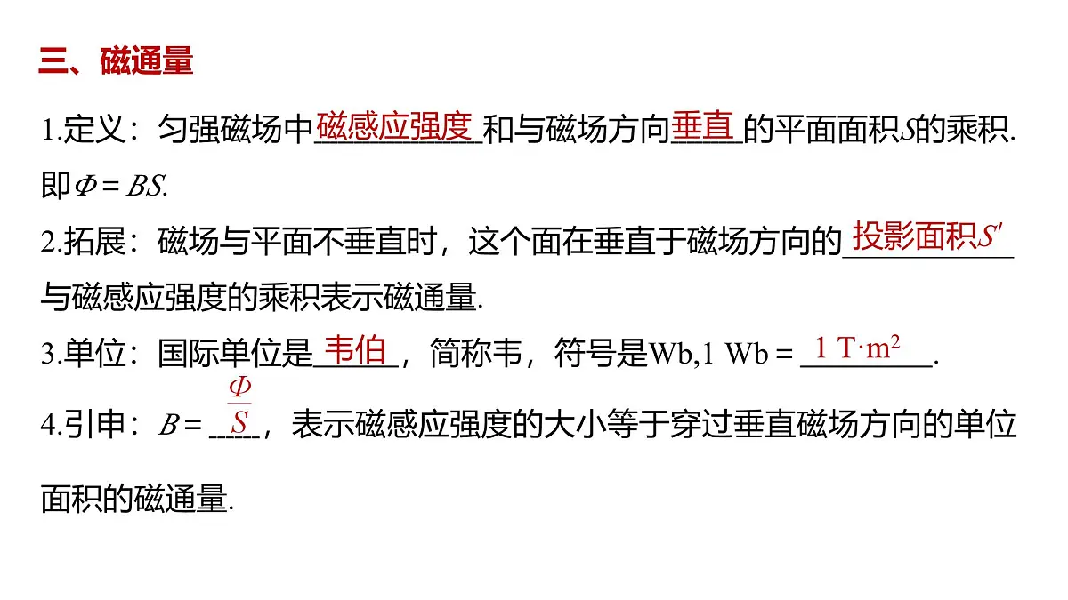 物理人教版（2019）必修第三册13.2磁感应强度　磁通量课件第5页