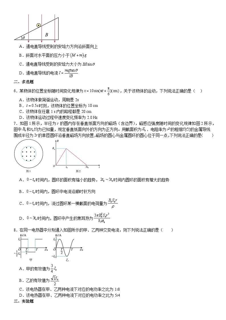 天津市武清区天和城实验中学2024-2025学年高二下学期第二次月考物理试卷第2页