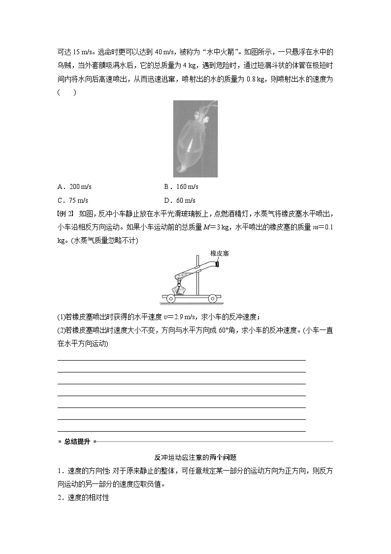 2024-2025学年物理教科版（2019）选择性必修第一册 1.6反冲  学案第2页