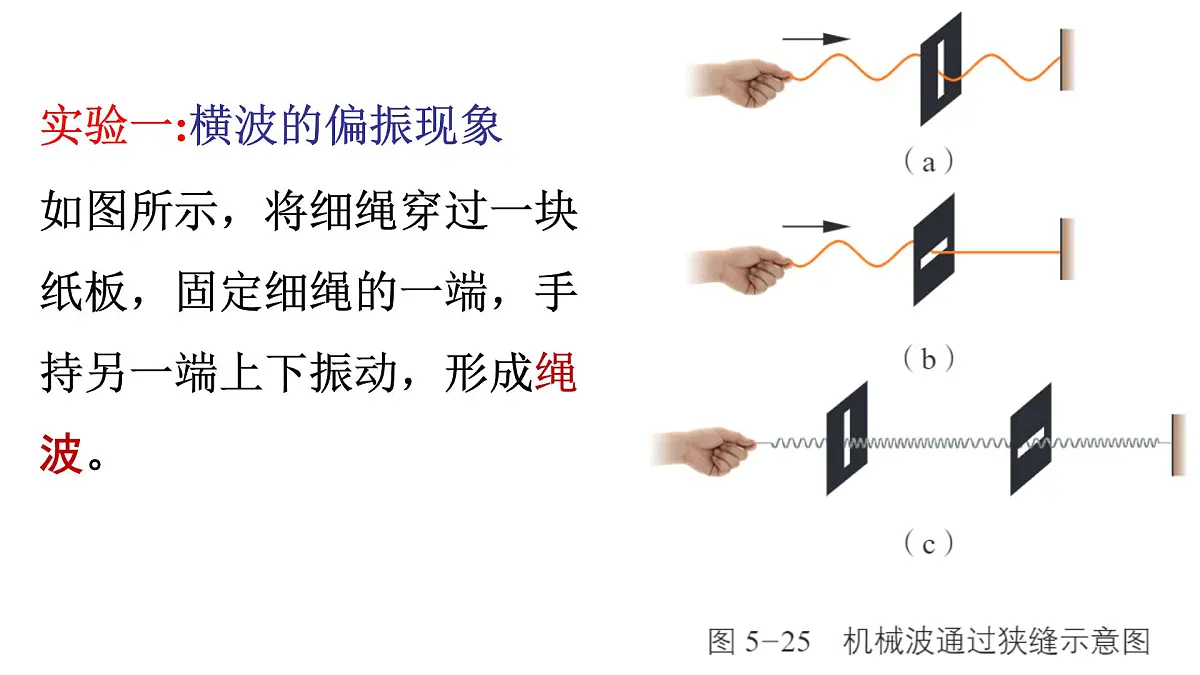 2024-2025学年物理鲁科版（2019）选择性必修第一册 5.4 光的偏振 课件第5页