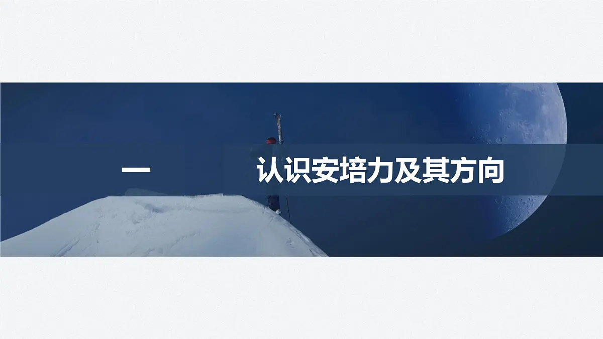 2024-2025学年物理教科版（2019）选择性必修第二册 1.1安培力 课件第4页