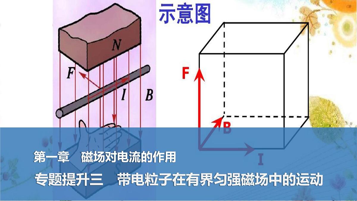 2024-2025学年物理教科版（2019）选择性必修第二册 第1章 磁场对电流的作用 专题提升三 带电粒子在有界匀强磁场中的运动 课件第1页
