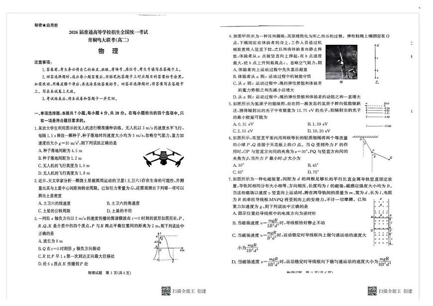 河南青桐鸣大联考2024-2025学年高二下学期6月联考物理试卷第1页