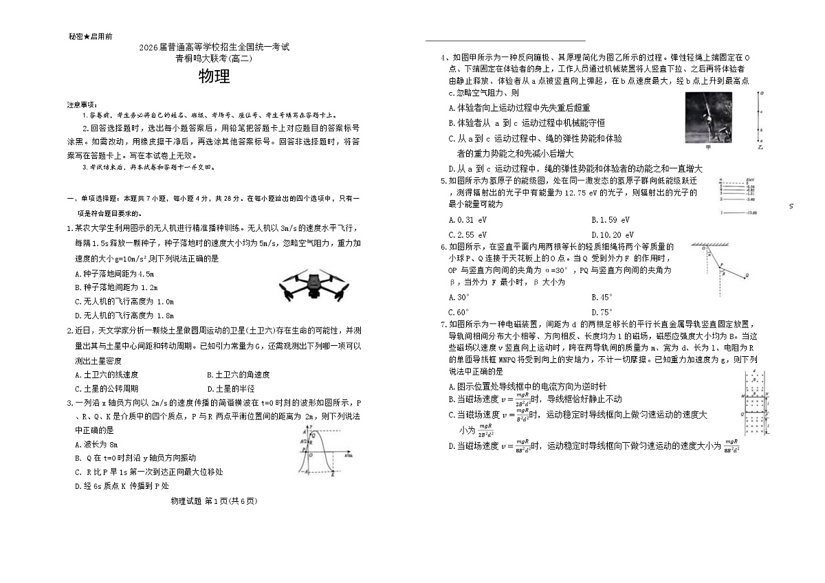 河南省青桐鸣大联考2024-2025学年高二下学期6月联考物理试卷第1页