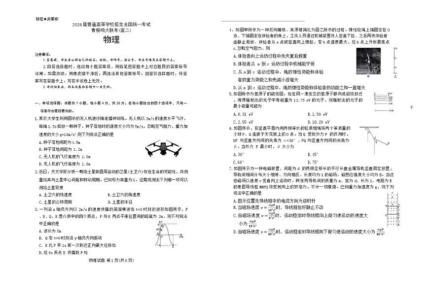 河南省青桐鸣大联考2024-2025学年高二下学期6月联考物理试卷第1页