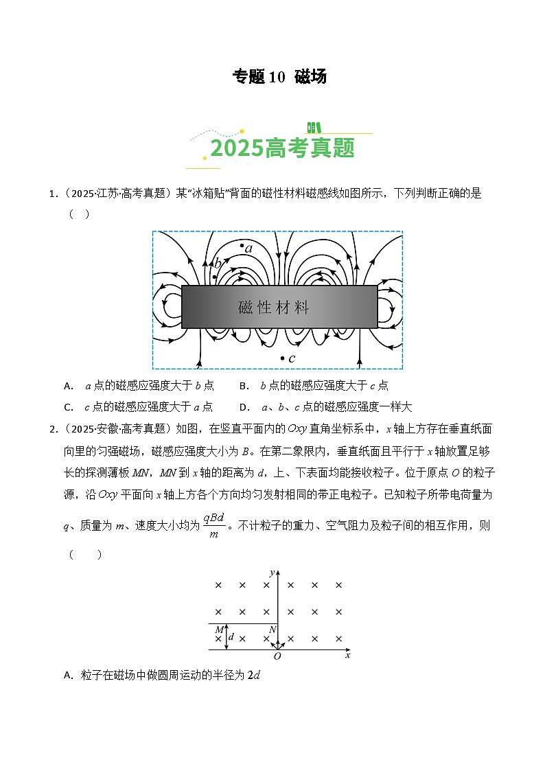 2025年高考物理真题分类汇编：专题10 磁场（全国通用）（原卷版）第1页