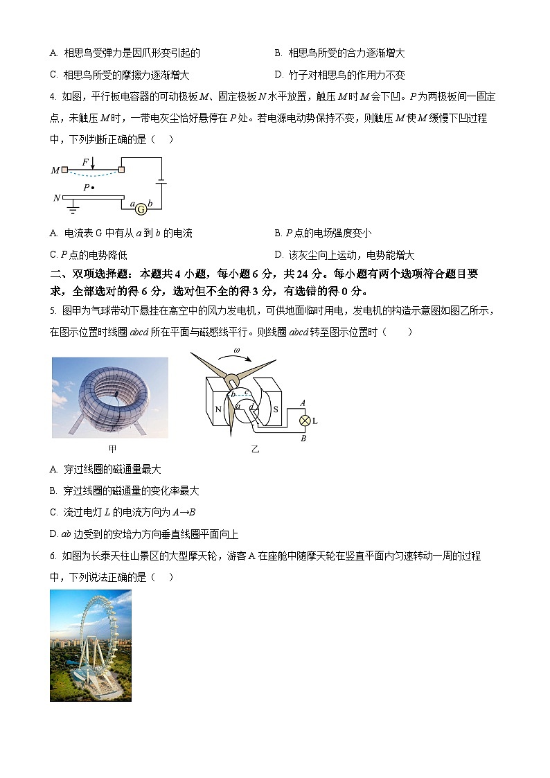 福建省漳州市2024-2025学年高三上学期毕业班第二次教学质量检测（期末）物理试题  Word版无答案第2页