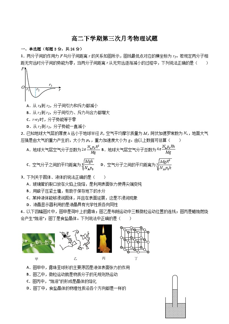 山东省菏泽第一中学2024-2025学年高二下学期第三次月考物理试卷（Word版附答案）第1页