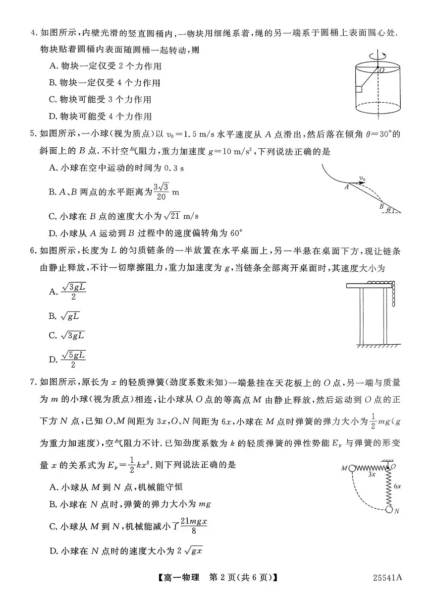 河南省南阳市新未来2024-2025学年高一下学期6月质量检测物理试题（PDF版附解析）第2页