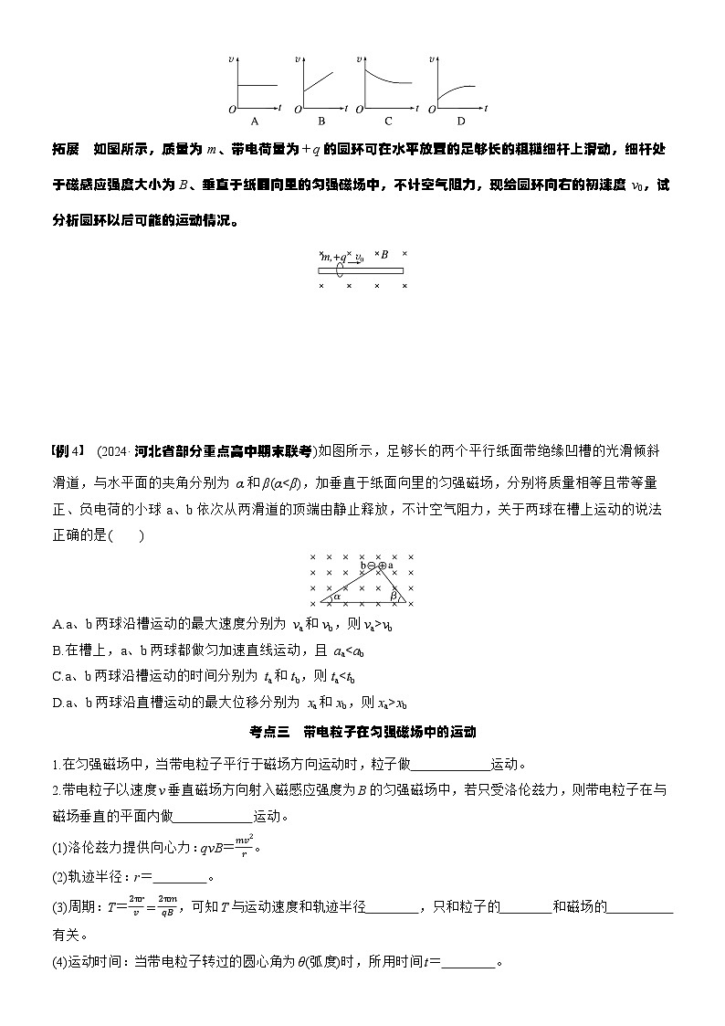 2026高考物理大一轮复习-第一十一章 第58课时 磁场对运动电荷(带电体)的作用-专项训练【含答案】第3页